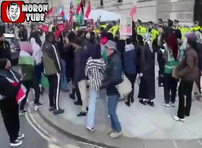 Video :At a pro-Palestinian protest, a man was pursued after removing the Israeli flag